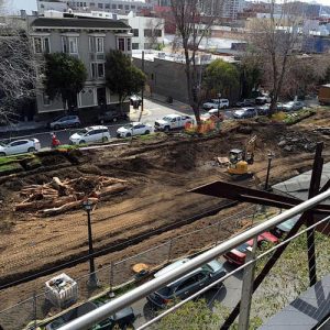 城市道路挖掘/绿化审批