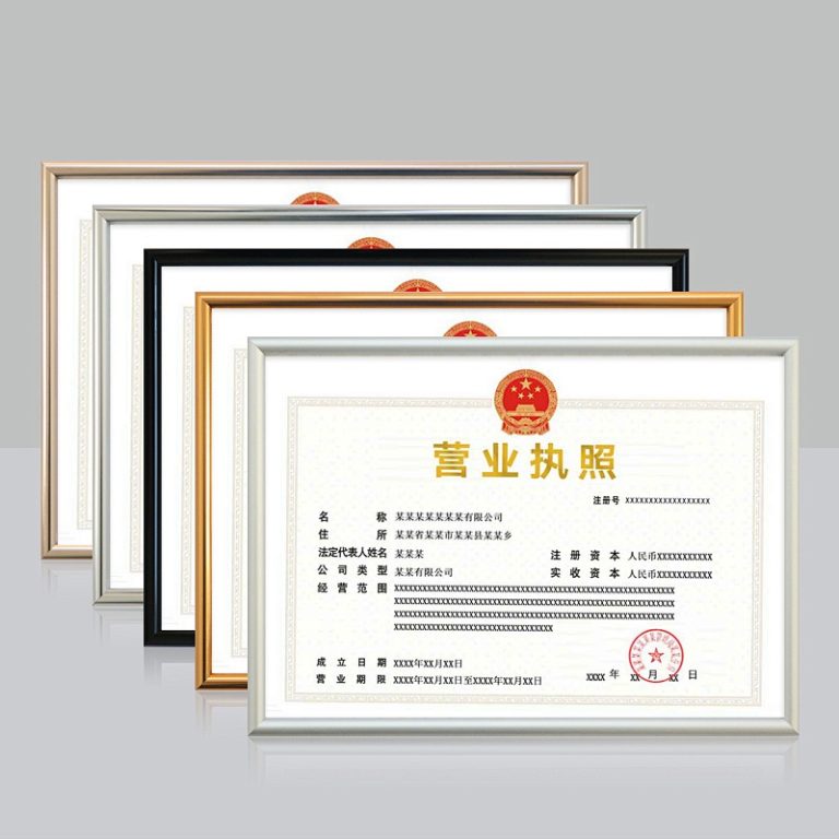 执照