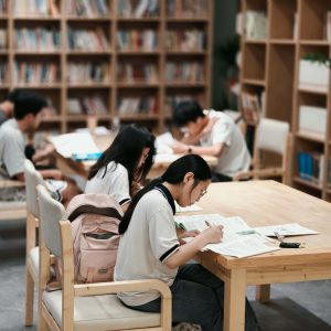 文教卫生咨询