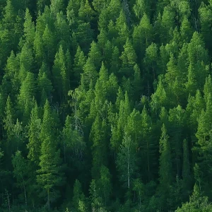ISO 14001 环境管理体系