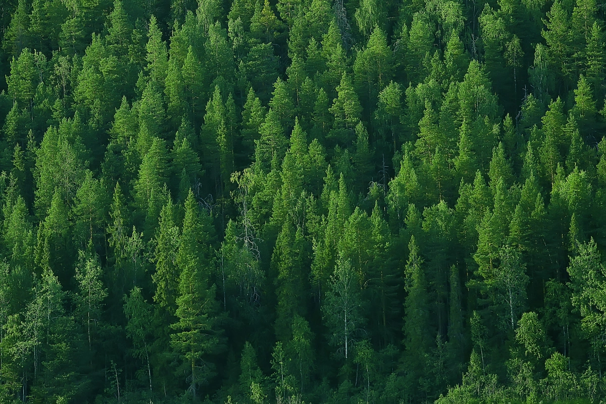 ISO 14001 环境管理体系