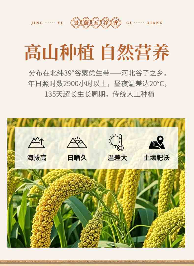 大白谷小米详情_02