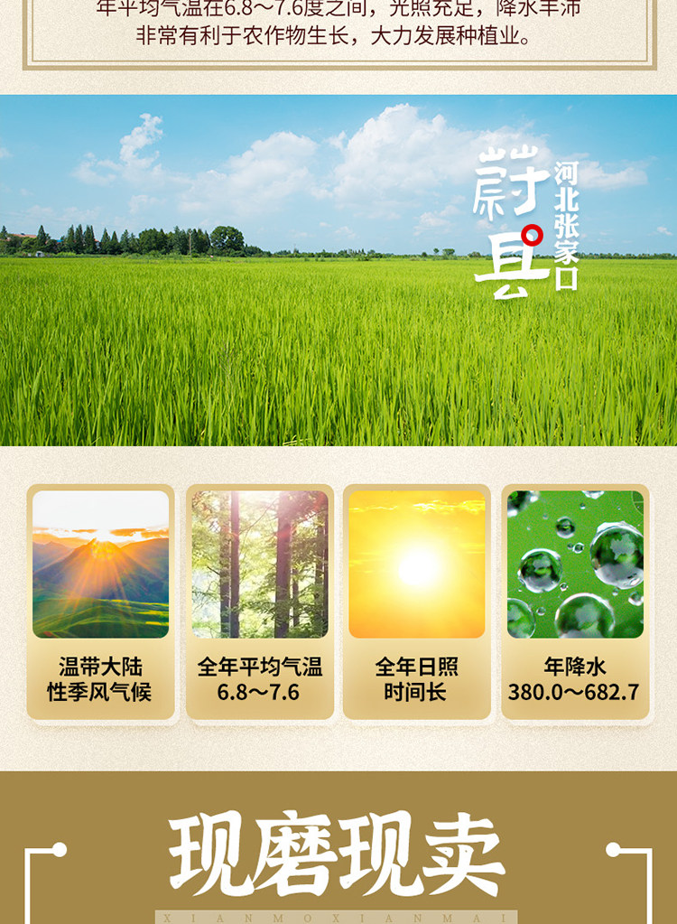 详情-08